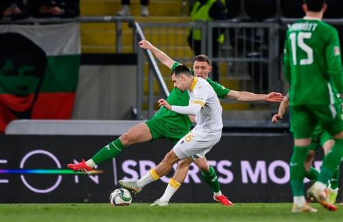 Bulgarien gegen Irland