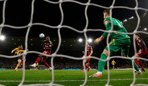 Wölfe gegen Fulham