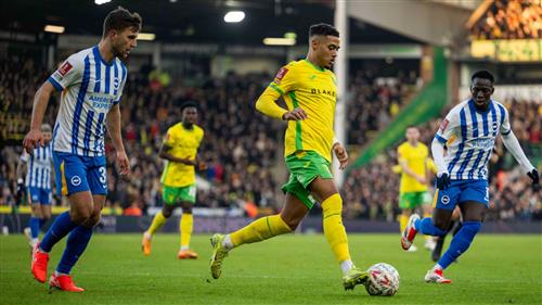 Norwich City gegen Brighton