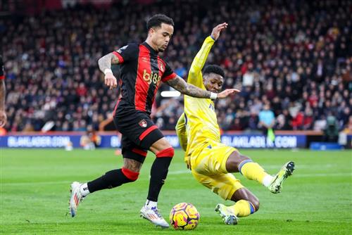 AFC Bournemouth gegen Crystal Palace