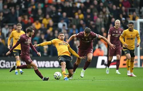 Wölfe gegen Manchester City