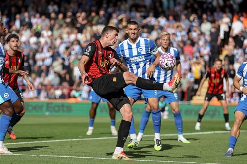 AFC Bournemouth gegen Brighton