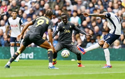 Tottenham Hotspur gegen Everton