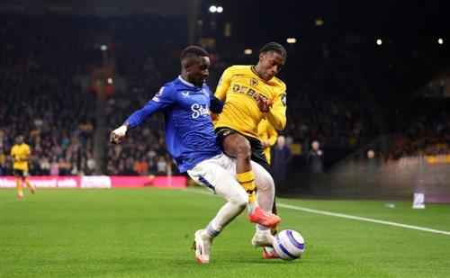 Wölfe gegen Everton