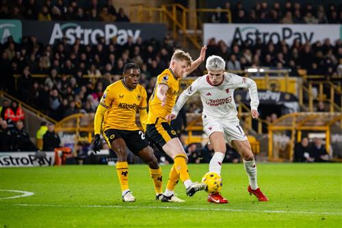 Wölfe gegen Manchester United