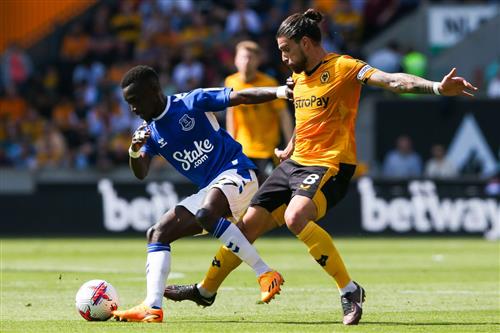 Wölfe gegen Everton