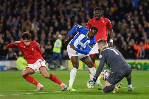 Nottingham gegen Brighton