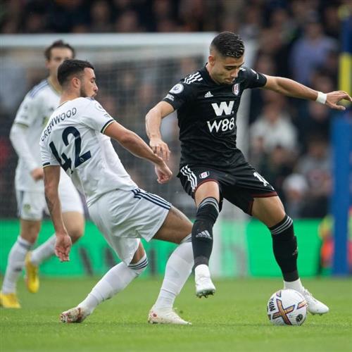 Fulham gegen Leeds United