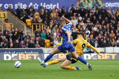Wölfe gegen Leicester City